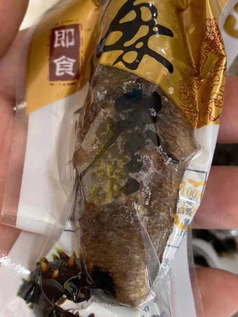 海参