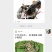 冰冻小青龙虾大量批发价格优惠