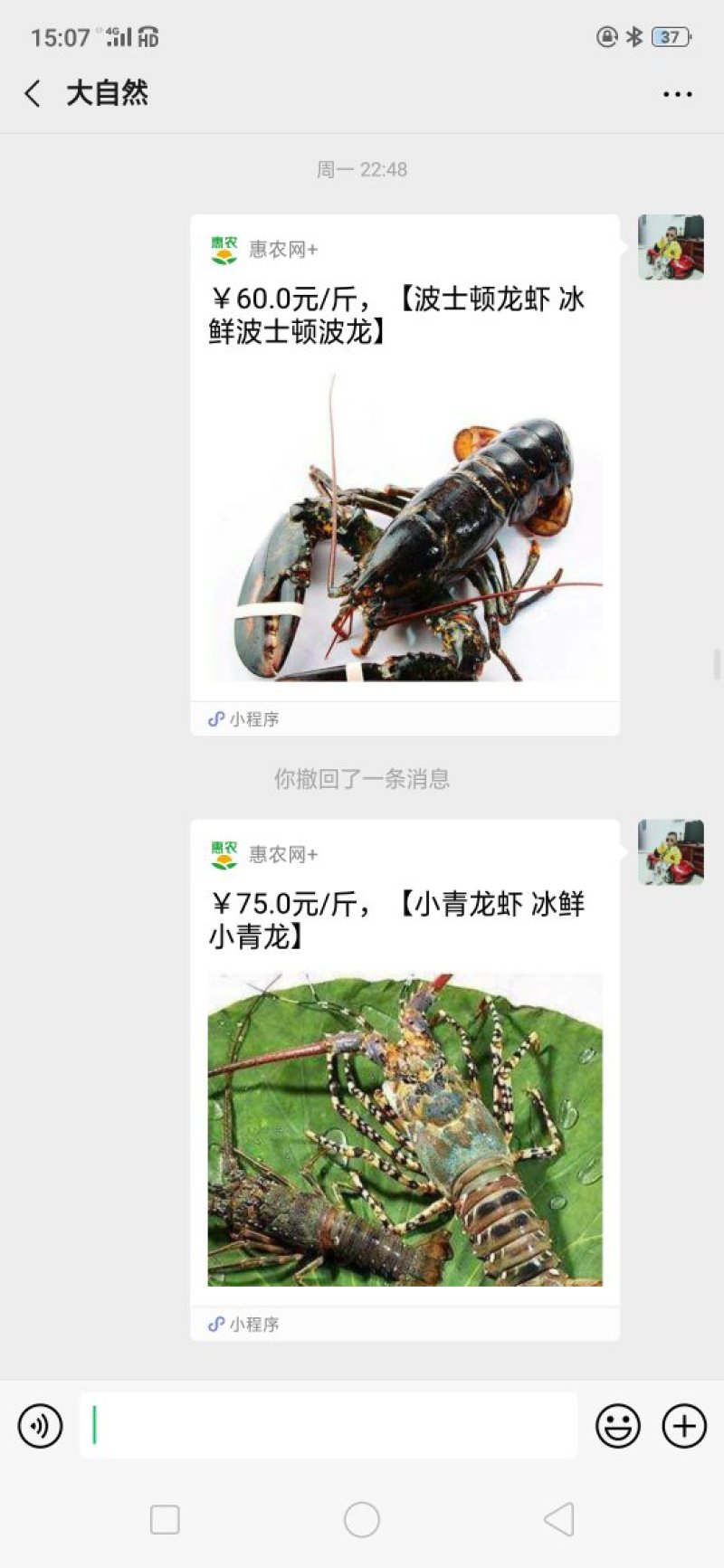 冰冻小青龙虾大量批发价格优惠