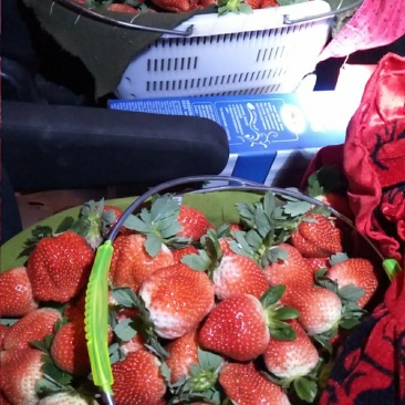 宁玉妙香各种奶油草莓