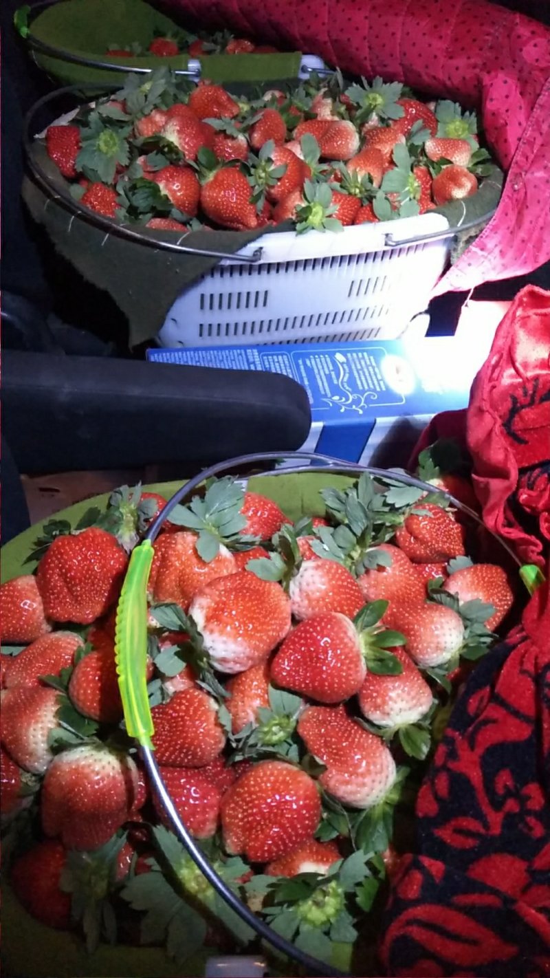 宁玉妙香各种奶油草莓