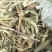 花生秧牛羊草，长年供应软包压块花生秧，花生秧草粉，颗粒。