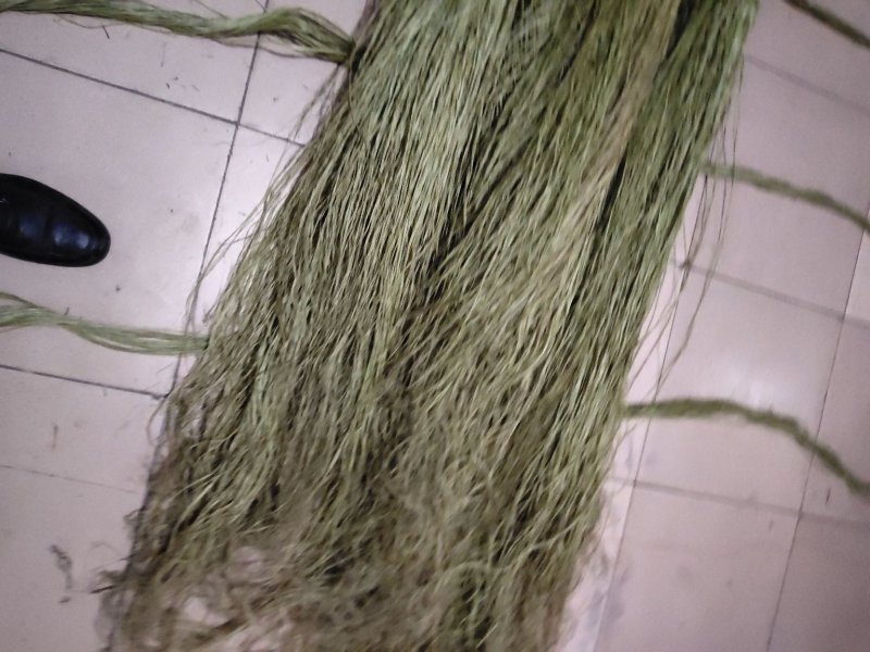 【精品苎麻】纯手工原麻，麻丝，量大从优，长期供应