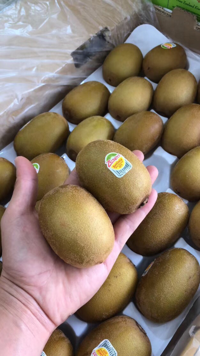 新西兰佳沛金果新鲜水果广州江南直发