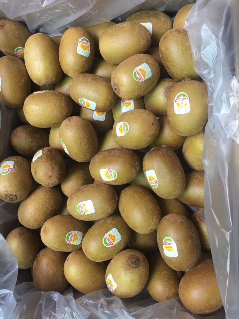 新西兰佳沛金果新鲜水果广州江南直发