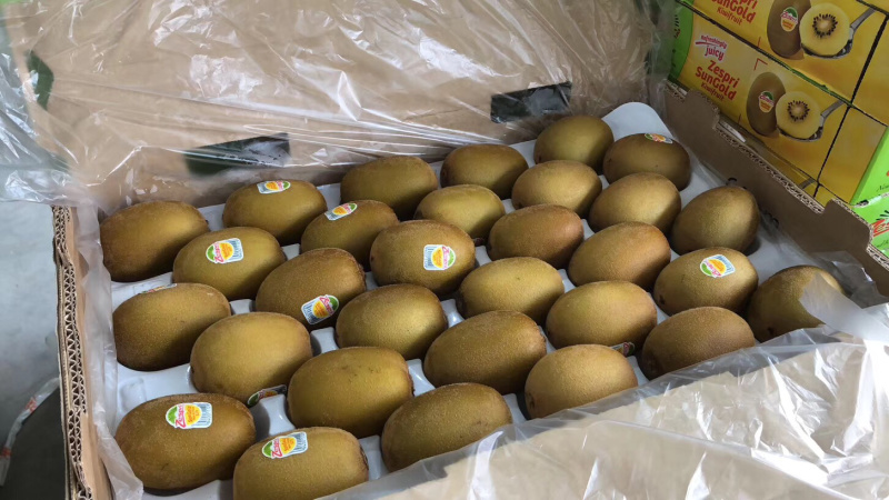 新西兰佳沛金果新鲜水果广州江南直发