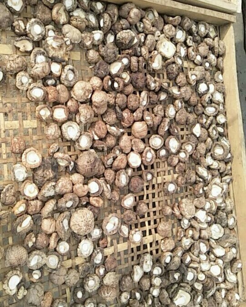 干香菇