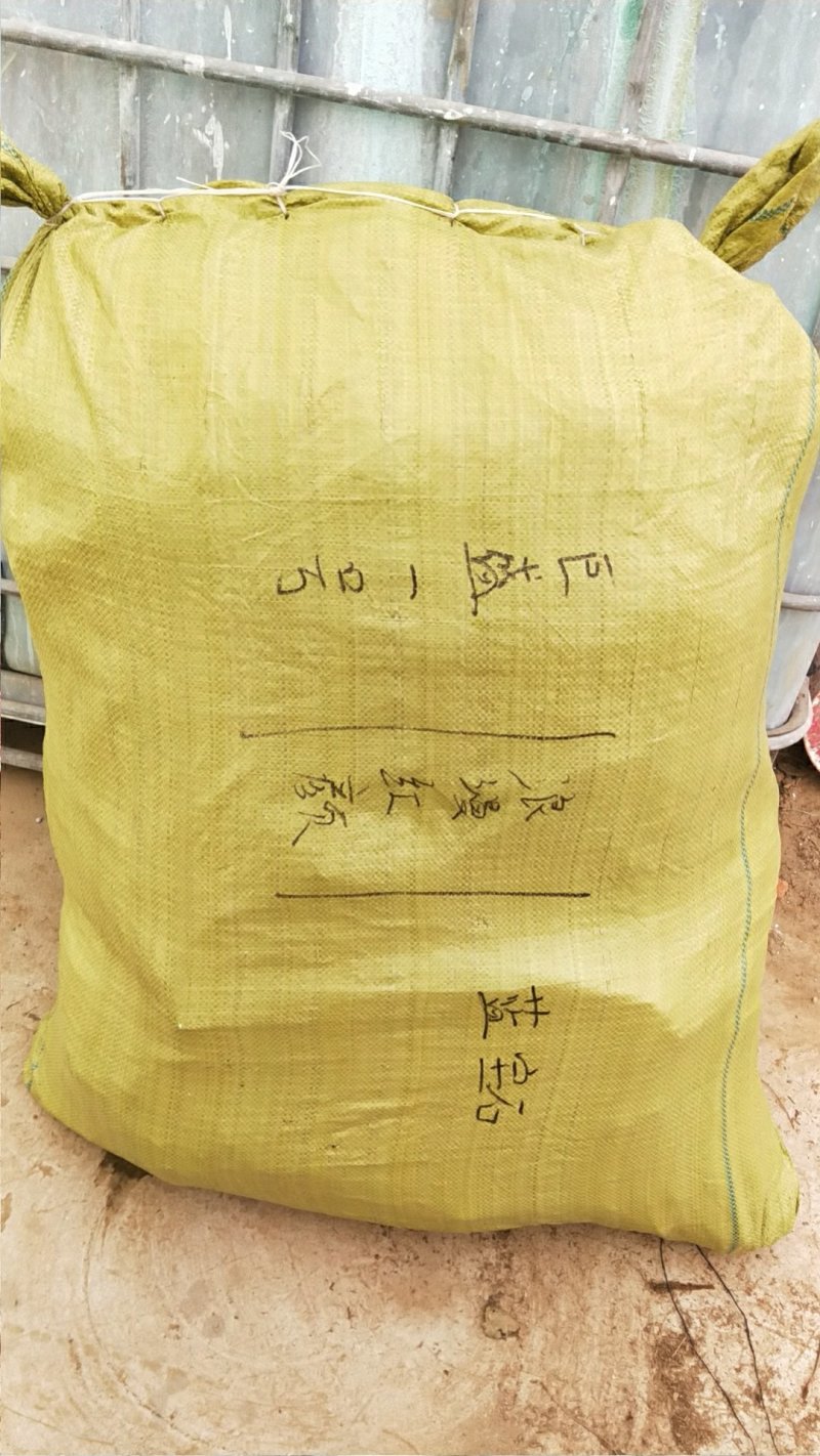 衡水的老板快来维多利亚葡萄苗货源充足诚信育苗