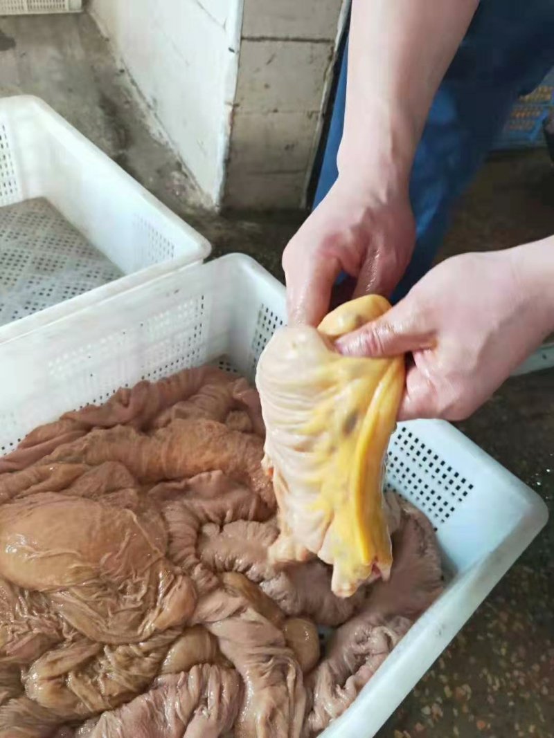 蒙古马肉，马板肠自己清洗无渣