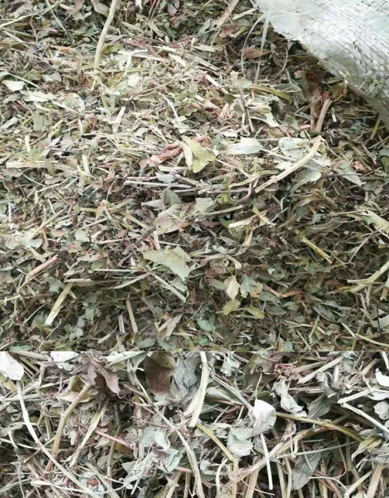 花生秧草料厂价批发动物饲料牛羊青贮花生秧草粉