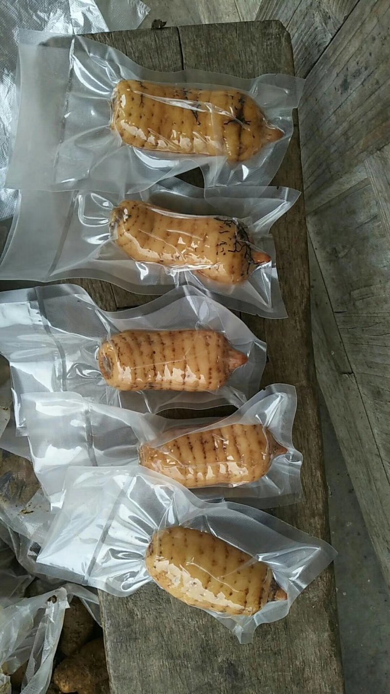 小草坝天麻，昭通天麻，云南天麻