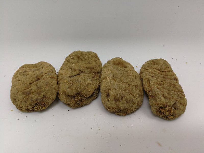 小草坝天麻，昭通天麻，云南天麻
