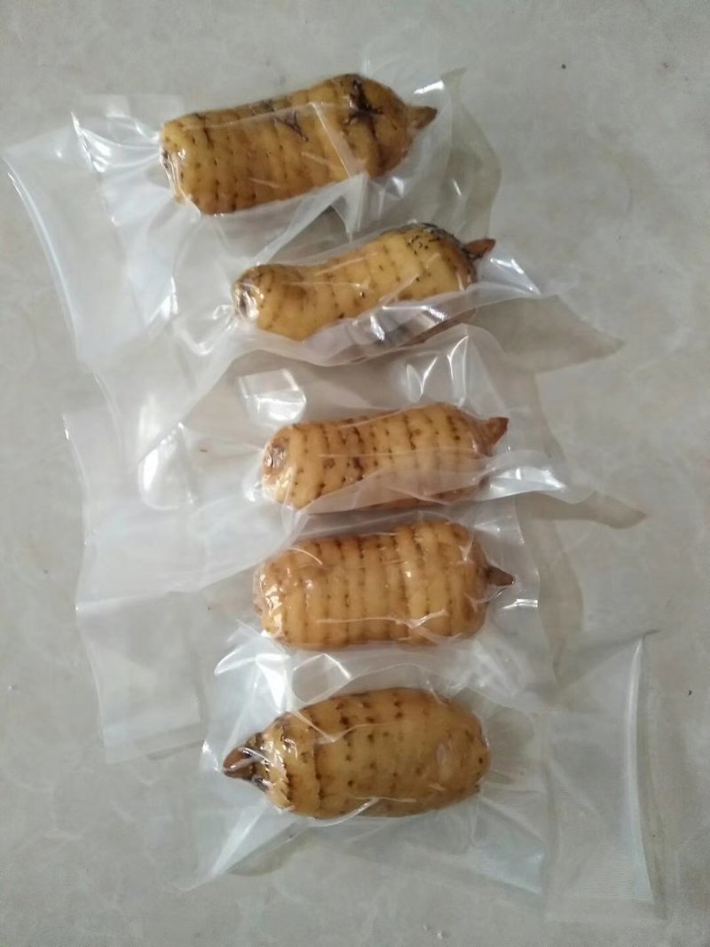 小草坝天麻，昭通天麻，云南天麻