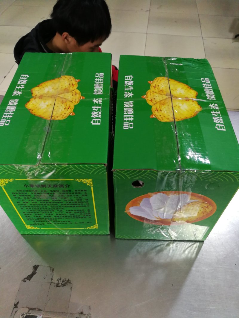 小草坝天麻，昭通天麻，云南天麻