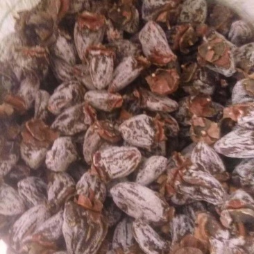 柿饼柿饼吊饼
