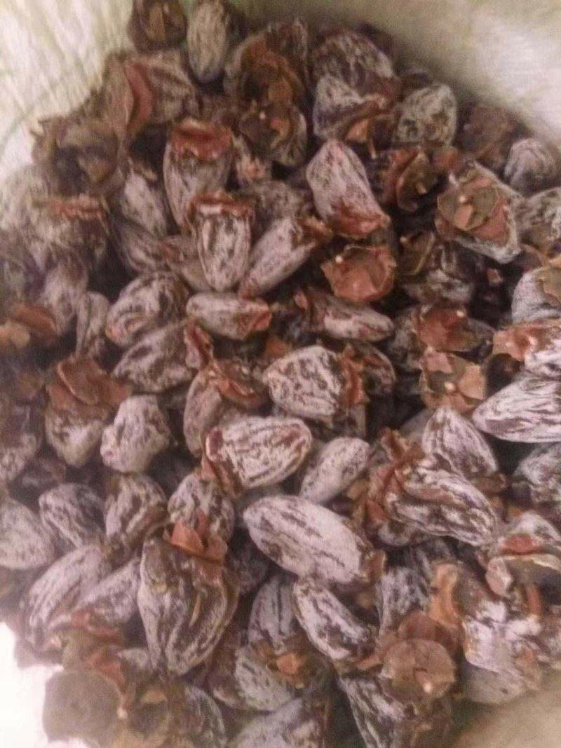 柿饼柿饼吊饼