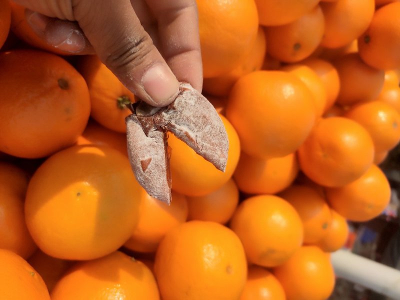 柿饼柿饼吊饼