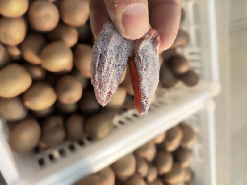 柿饼柿饼吊饼