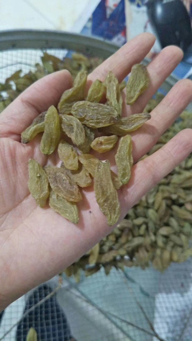 特大青葡萄干大果口感清爽不涩不酸