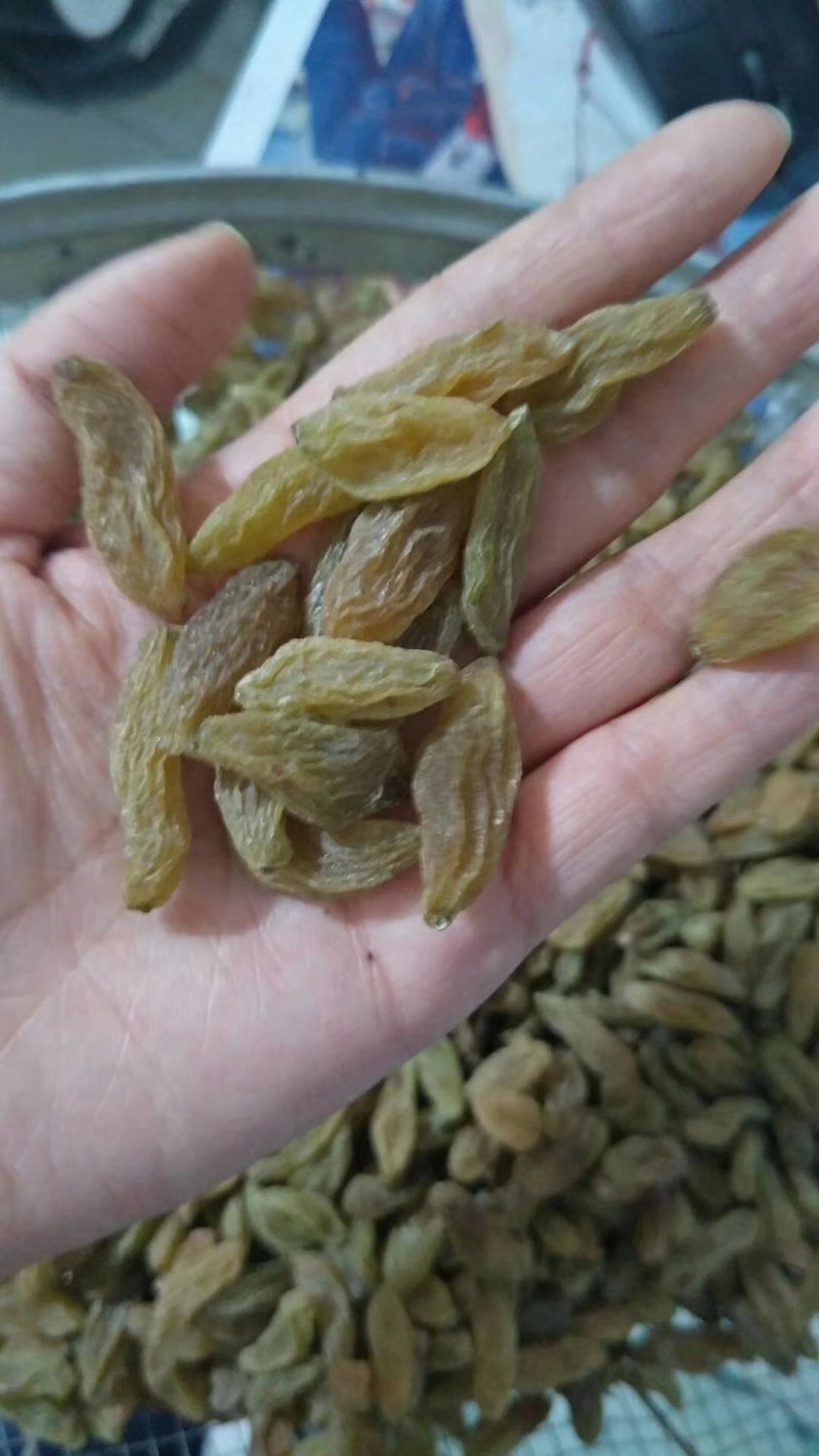 特大青葡萄干大果口感清爽不涩不酸