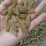 特大青葡萄干大果口感清爽不涩不酸