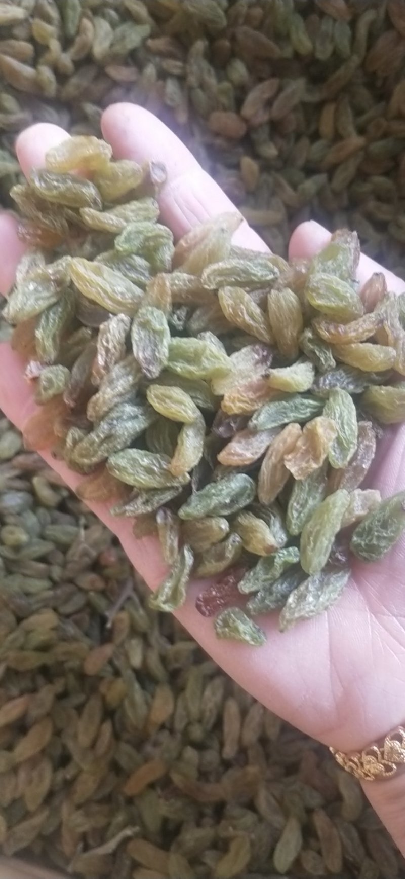 特大青葡萄干大果口感清爽不涩不酸