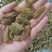 特大青葡萄干大果口感清爽不涩不酸