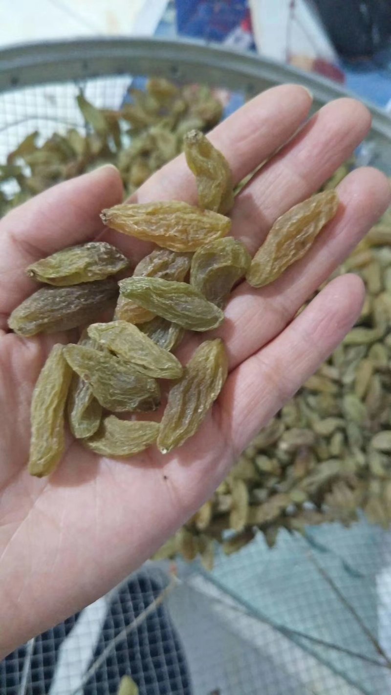 特大青葡萄干大果口感清爽不涩不酸