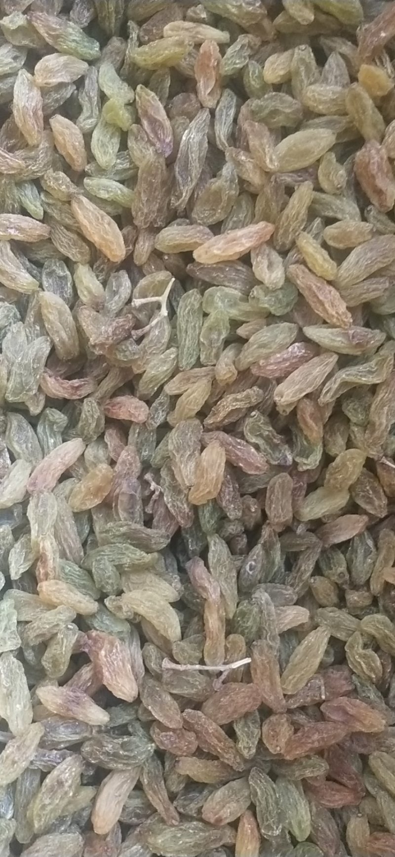 特大青葡萄干大果口感清爽不涩不酸