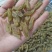 特大青葡萄干大果口感清爽不涩不酸