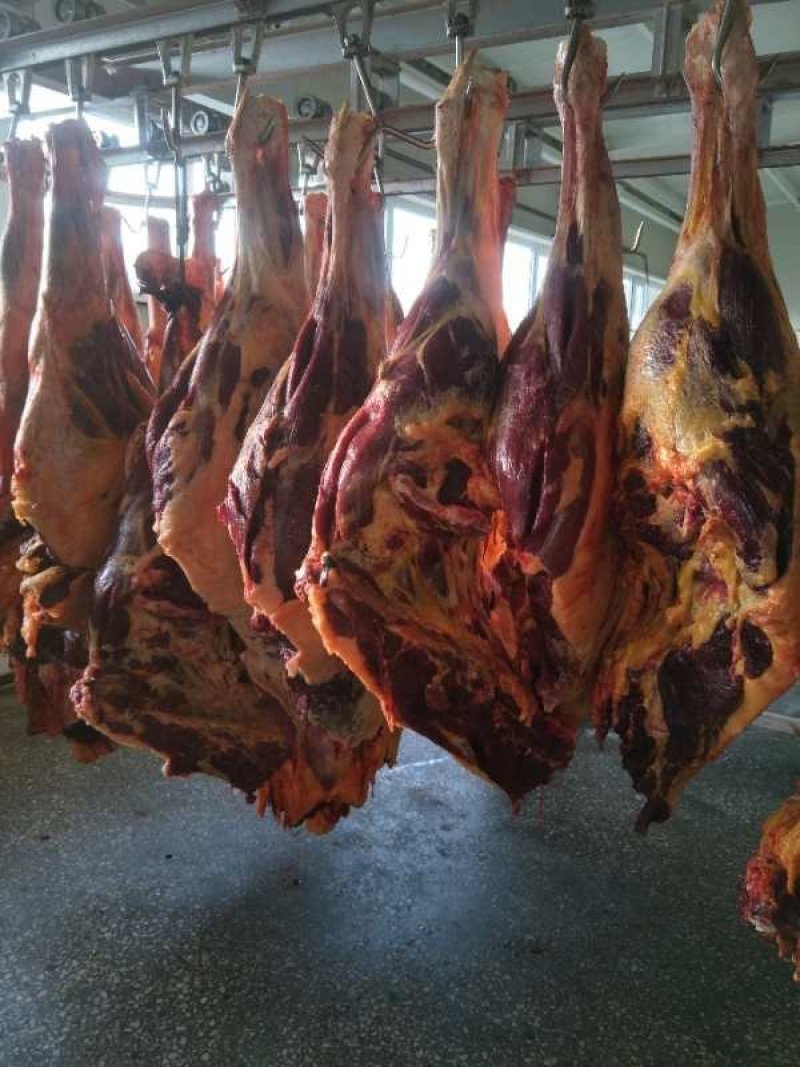 精品脖子精修去油，肉块整齐无碎肉，颜色新鲜！