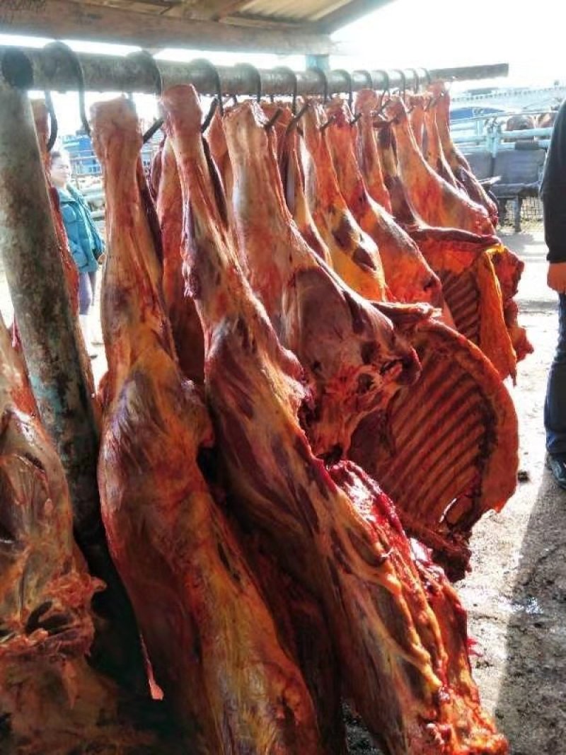 精品脖子精修去油，肉块整齐无碎肉，颜色新鲜！