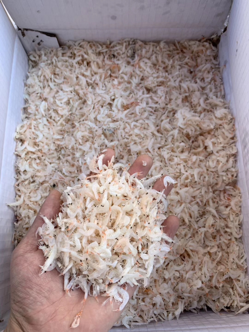 虾皮