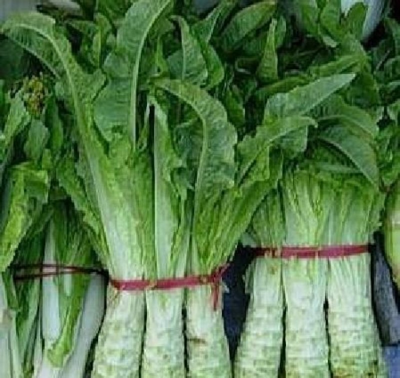 莴笋，产地直销，质量好，价格便宜，超市，食堂直供