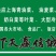 【精选】曹县优质上海青，产地直销上海青，现发，基地直发