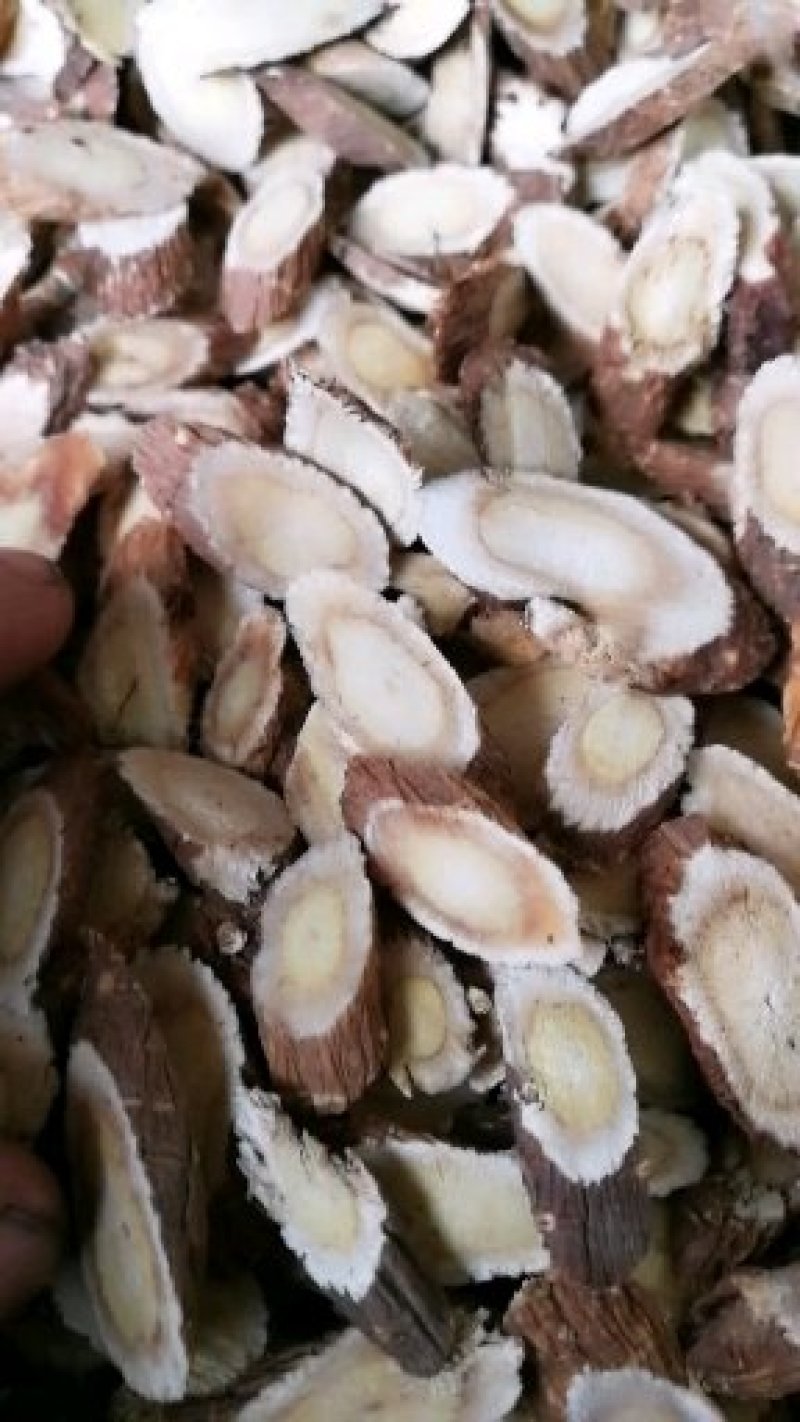 甘肃野生红芪，红芪段，新货，干品，包邮。