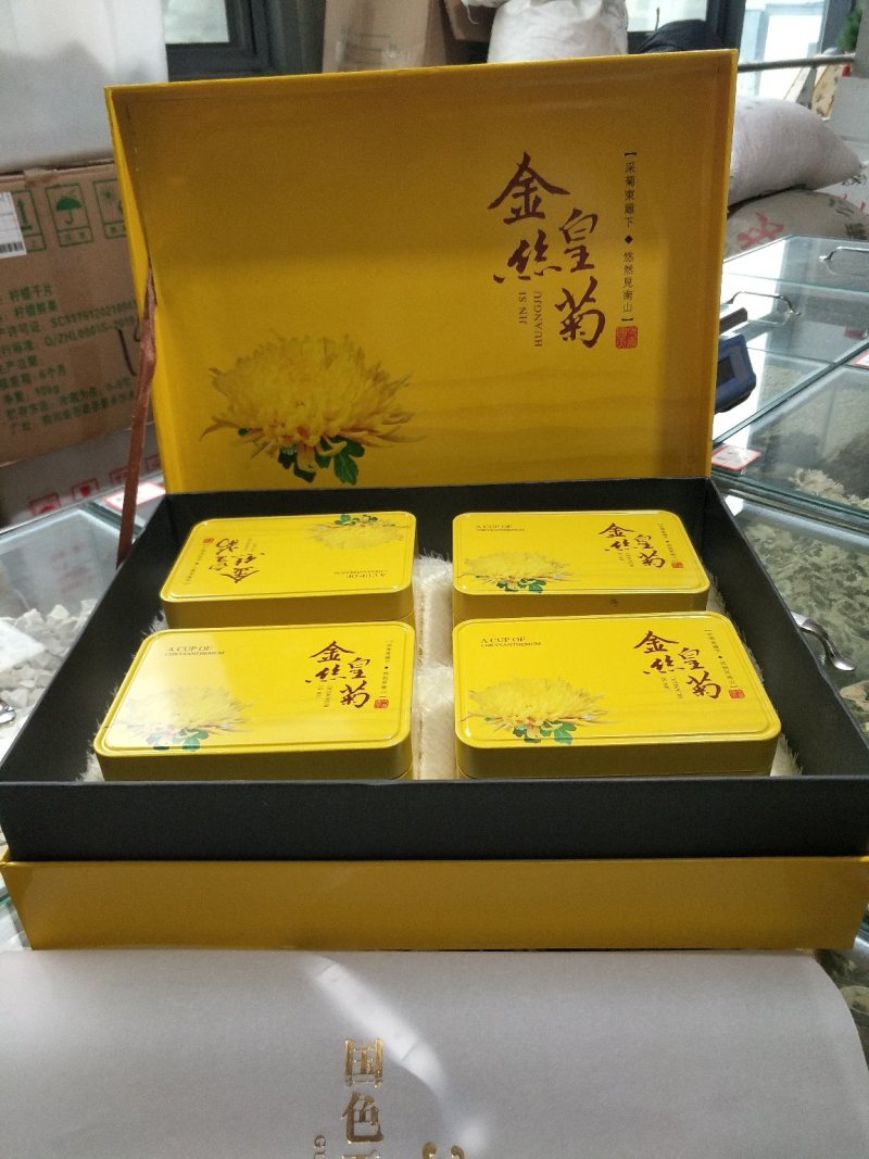 金丝皇菊大量批发常年有大货质量好，价格优