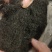 发菜一袋100克只需20元