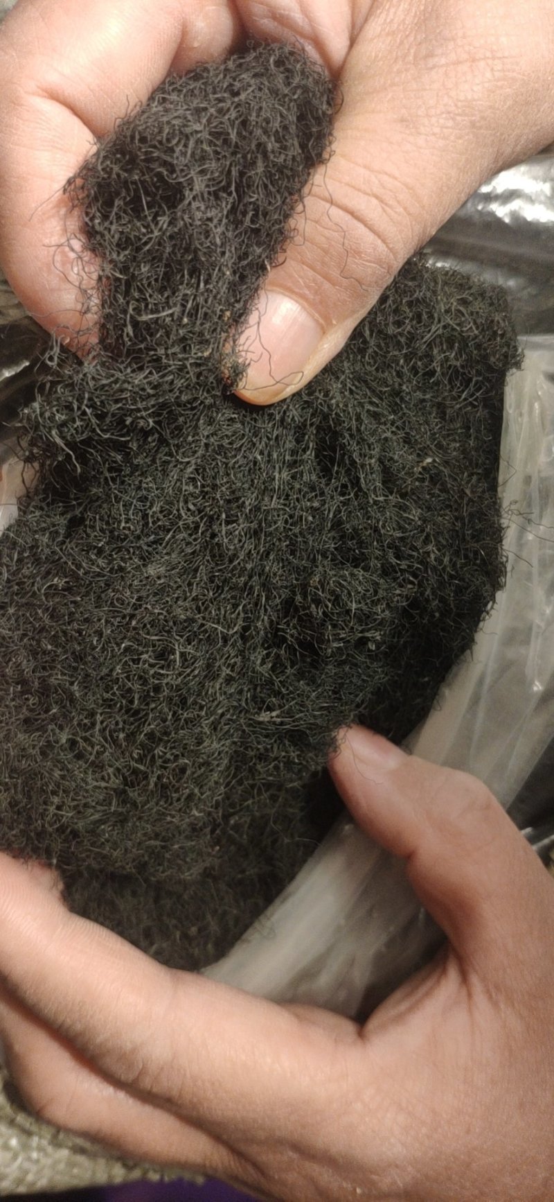 发菜一袋100克只需20元