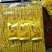 金丝皇菊大量批发金丝皇菊优质的品质低廉的价格欢迎新老顾客