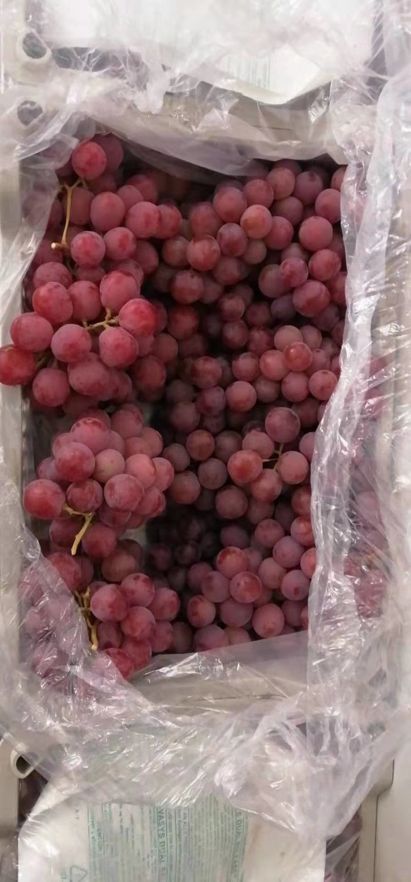 红提