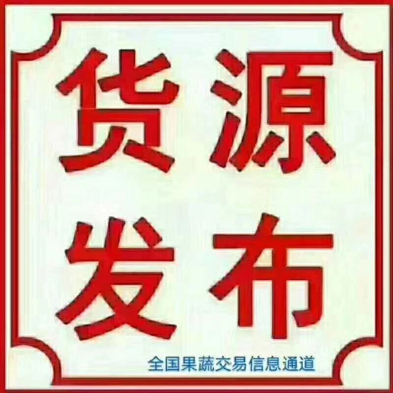大果上市，冷库光果，纸十膜