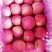 大果上市，冷库光果，纸十膜