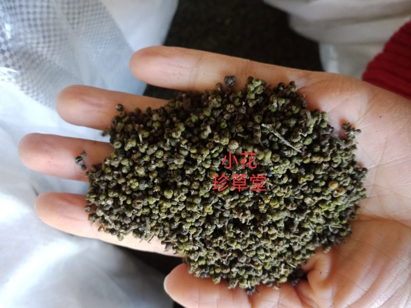 江西吴茱萸中花大花小花吴宇吴萸批发零售各种规格中药材