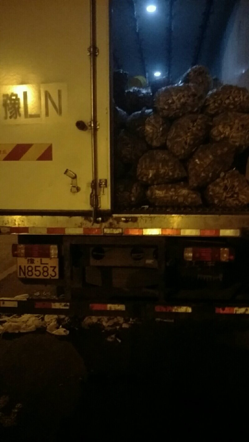 每天采收新鲜茨菇，心动不如行动，品种齐全