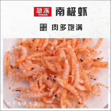 精品磷虾（南极深海磷虾）一手货源量大从优品质保障
