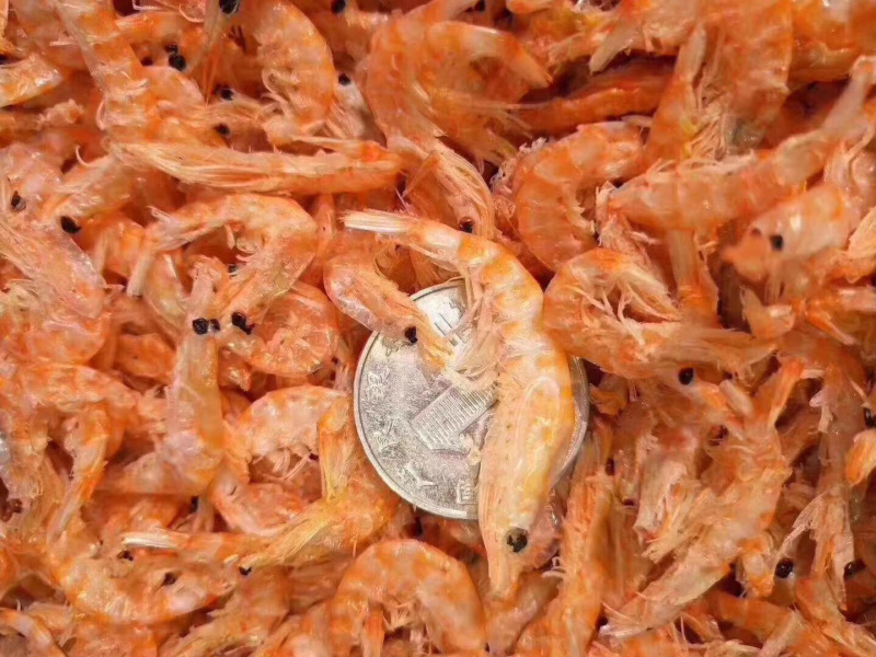 精品磷虾（南极深海磷虾）一手货源量大从优品质保障