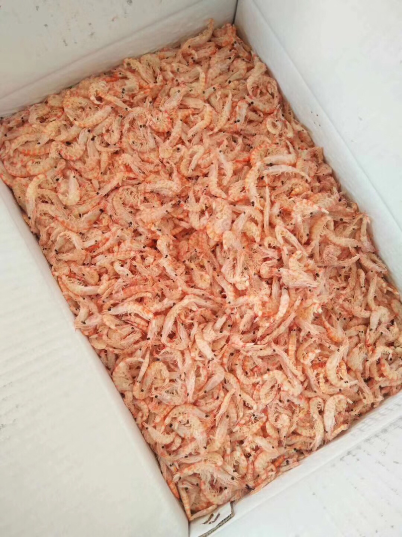 精品磷虾（南极深海磷虾）一手货源量大从优品质保障