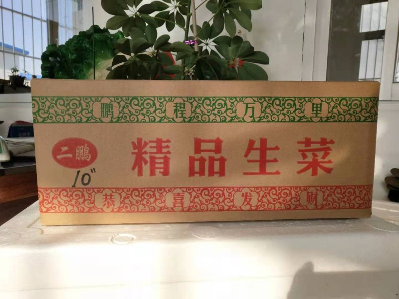 纸箱