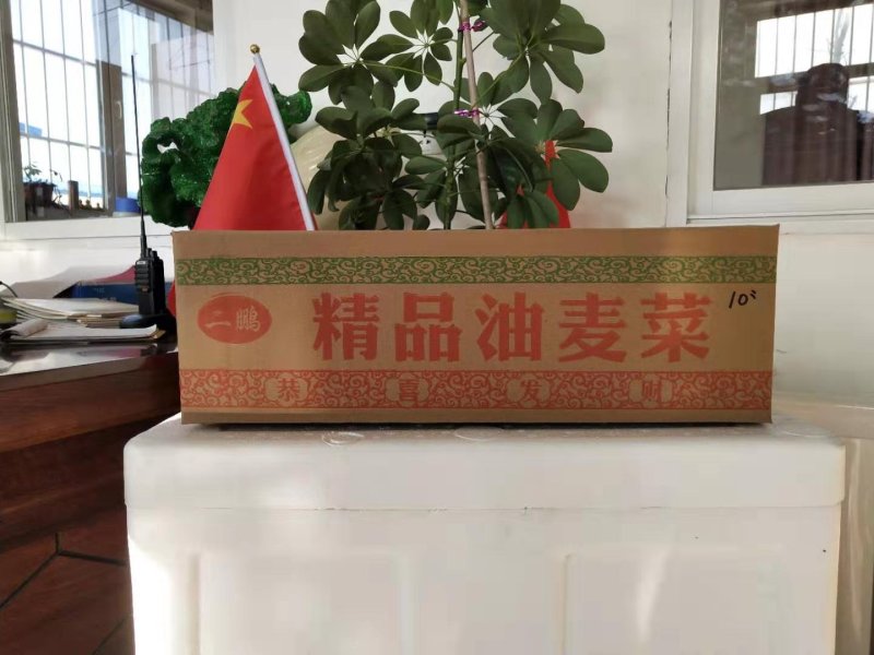 纸箱